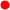 zgrzewane